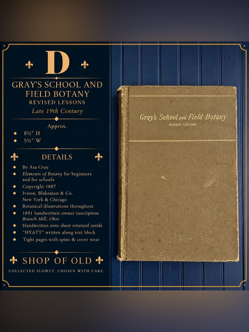 Antique Gray’s School and Field Book of Botany | Asa Gray 1887